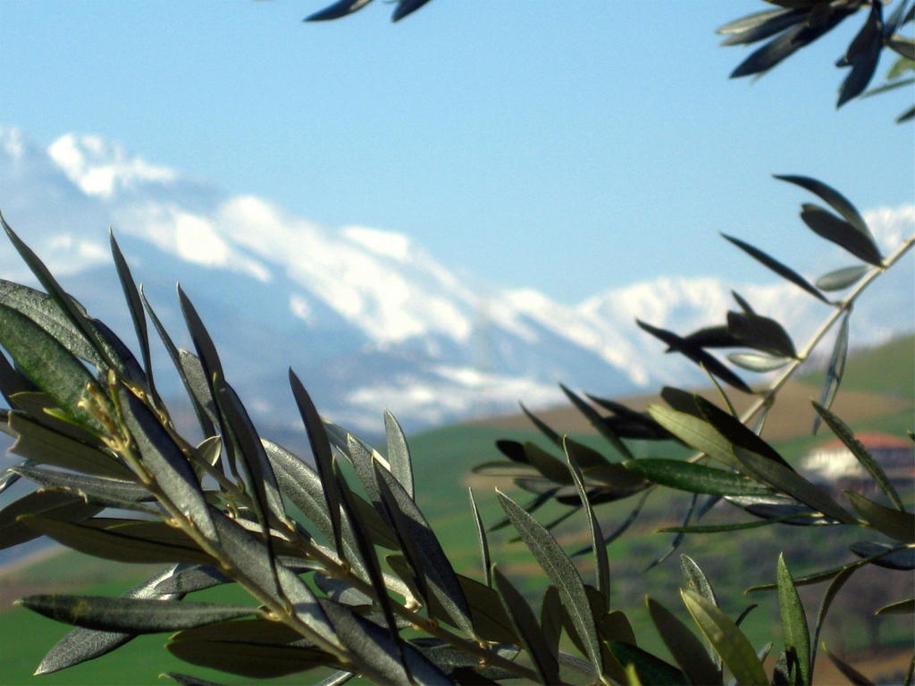 Agriturismo Cignale Penne Exterior foto