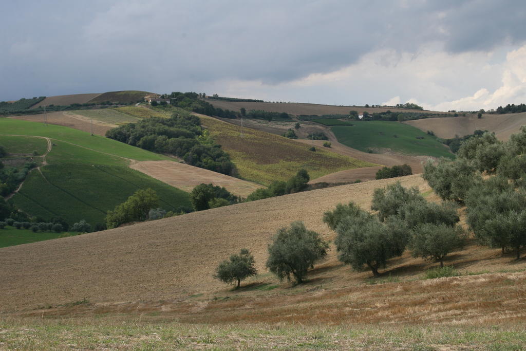 Agriturismo Cignale Penne Exterior foto