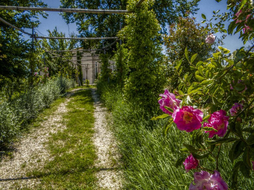 Agriturismo Cignale Penne Exterior foto