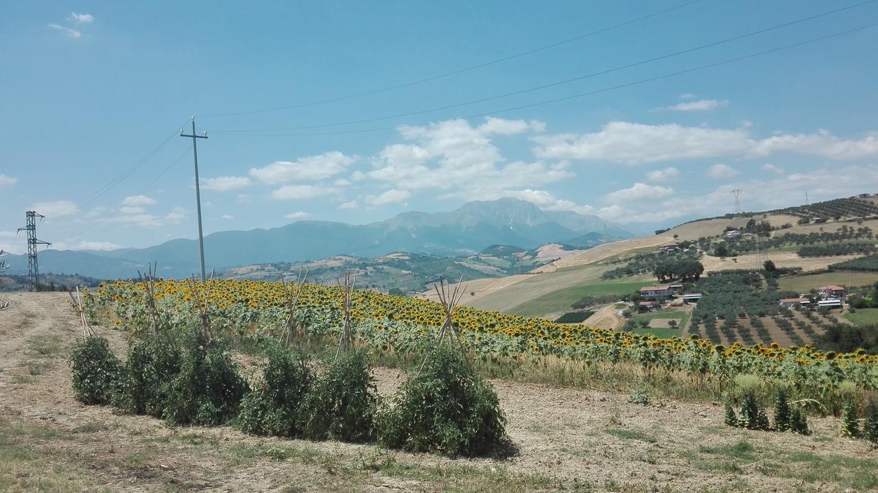 Agriturismo Cignale Penne Exterior foto